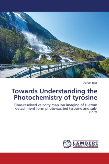 Towards Understanding the Photochemistry of Tyrosine, Paperback / softback Book