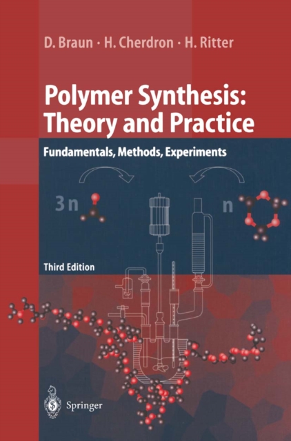 Polymer Synthesis: Theory and Practice : Fundamentals, Methods, Experiments, PDF eBook