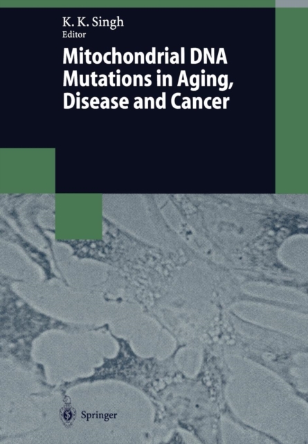 Mitochondrial DNA Mutations in Aging, Disease and Cancer, Paperback / softback Book