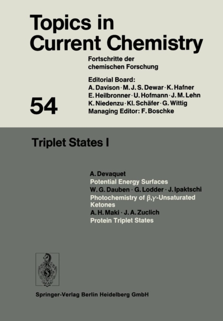 Triplet States I, Paperback / softback Book