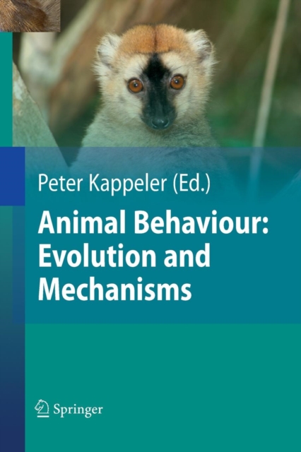 Animal Behaviour: Evolution and Mechanisms, Paperback / softback Book