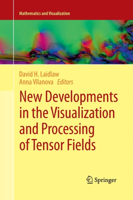 New Developments in the Visualization and Processing of Tensor Fields, Paperback / softback Book