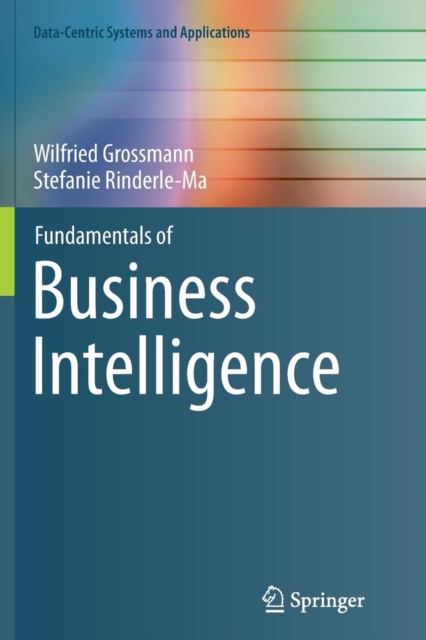 Fundamentals of Business Intelligence, Paperback / softback Book