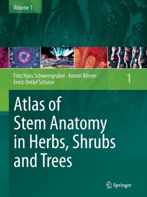 Atlas of Stem Anatomy in Herbs, Shrubs and Trees : Volume 1, Paperback / softback Book