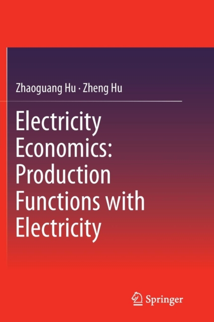 Electricity Economics: Production Functions with Electricity, Paperback / softback Book