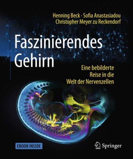 Faszinierendes Gehirn : Eine bebilderte Reise in die Welt der Nervenzellen, Mixed media product Book