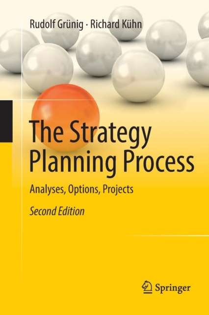 The Strategy Planning Process : Analyses, Options, Projects, Paperback / softback Book