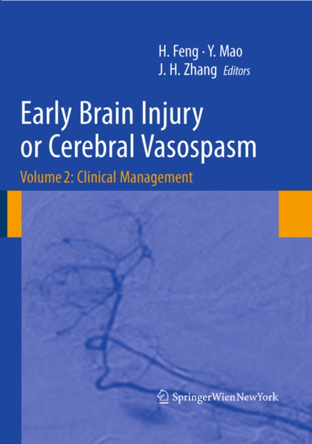 Early Brain Injury or Cerebral Vasospasm : Vol 2: Clinical Management, PDF eBook