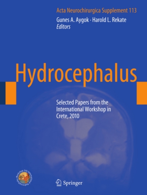 Hydrocephalus : Selected Papers from the International Workshop in Crete, 2010, PDF eBook