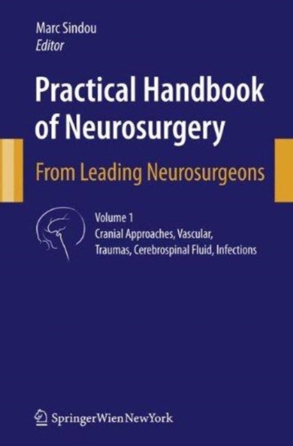 Practical Handbook of Neurosurgery : From Leading Neurosurgeons, Paperback / softback Book