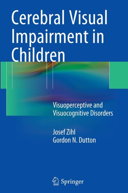 Cerebral Visual Impairment in Children : Visuoperceptive and Visuocognitive Disorders, Paperback / softback Book