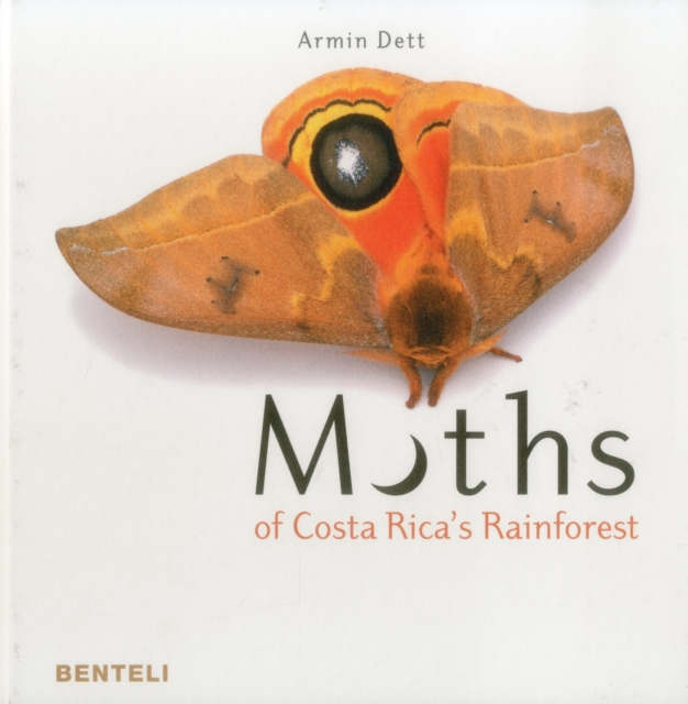 Moths of Costa Rica's Rainforest, Hardback Book