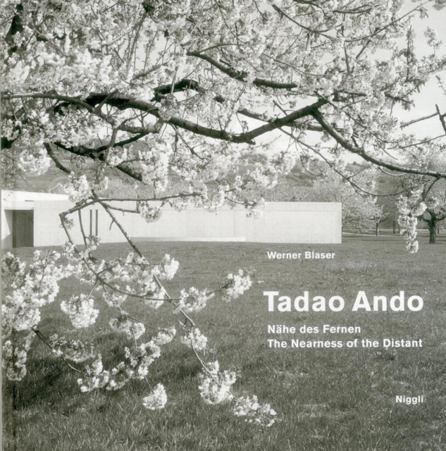 Tadao Ando : The Nearness of the Distant, Hardback Book