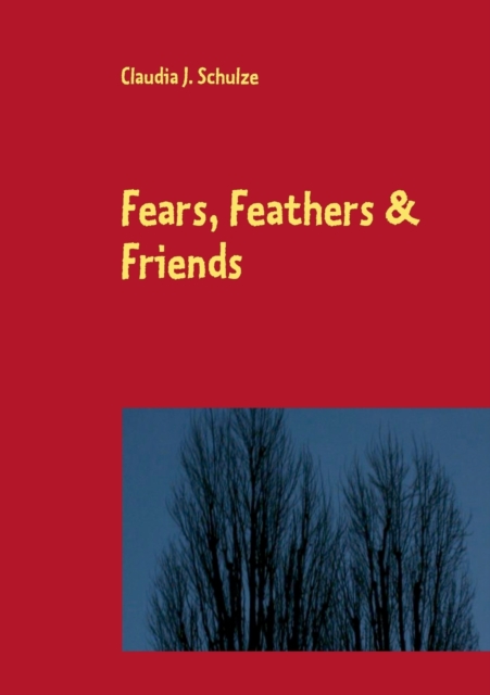 Fears, Feathers & Friends, Paperback / softback Book