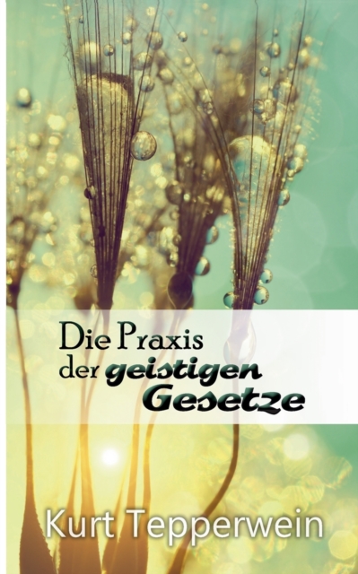 Die Praxis der geistigen Gesetze, Paperback / softback Book