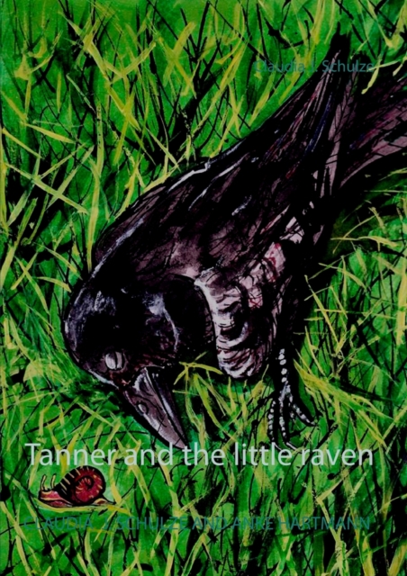 Tanner and the little raven, Paperback / softback Book