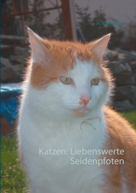 Katzen : Liebenswerte Seidenpfoten, Paperback / softback Book