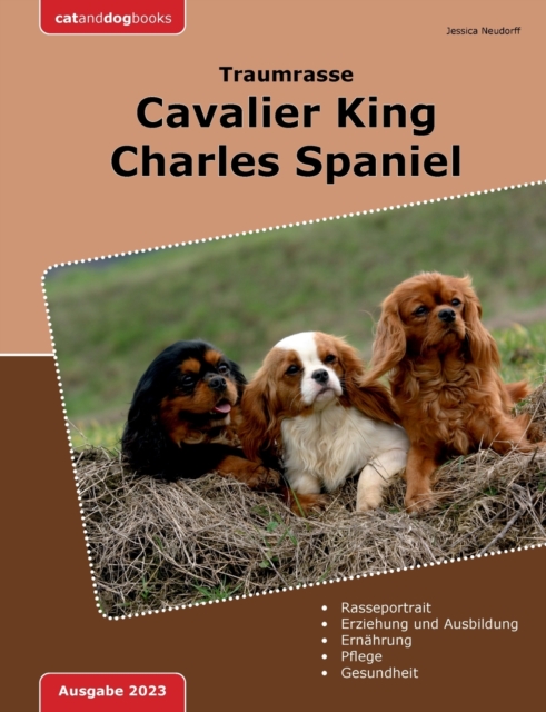 Traumrasse : Cavalier King Charles Spaniel, Paperback / softback Book