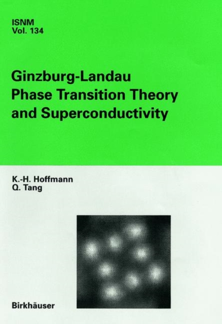 Ginzburg-Landau Phase Transition Theory and Superconductivity, Hardback Book