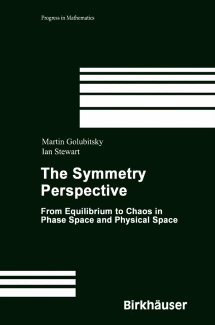 The Symmetry Perspective : From Equilibrium to Chaos in Phase Space and Physical Space, Hardback Book