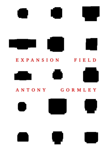 Antony Gormley : Expansion Field, Hardback Book