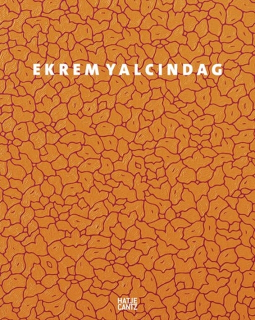 Ekrem Yalcindag : About Color, Nature, Ornaments, and other Things, Hardback Book