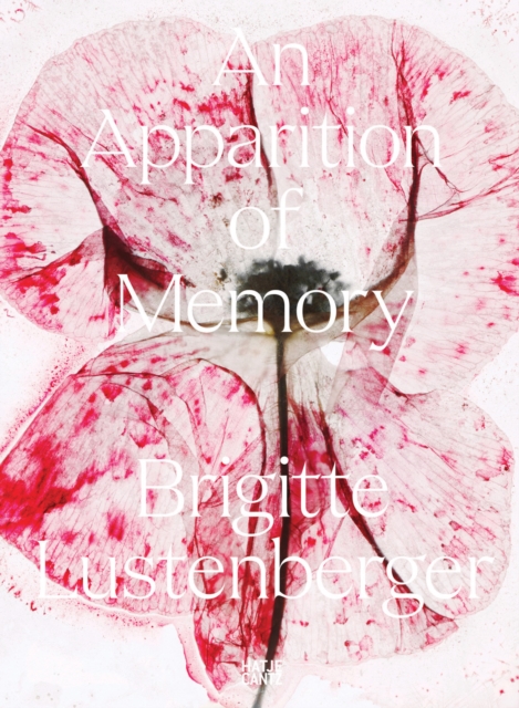 Brigitte Lustenberger : An Apparition of Memory, Paperback / softback Book