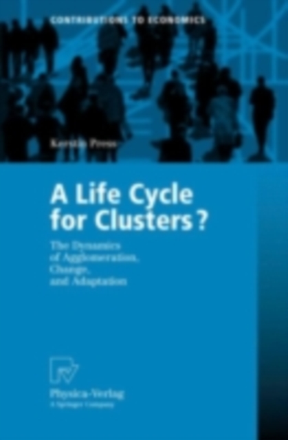 A Life Cycle for Clusters? : The Dynamics of Agglomeration, Change, and Adaption, PDF eBook