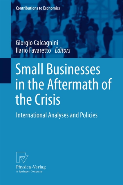 Small Businesses in the Aftermath of the Crisis : International Analyses and Policies, PDF eBook