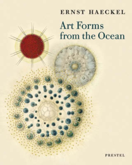 Art Forms from the Ocean : The Radiolarian Prints of Ernst Haeckel, Paperback / softback Book