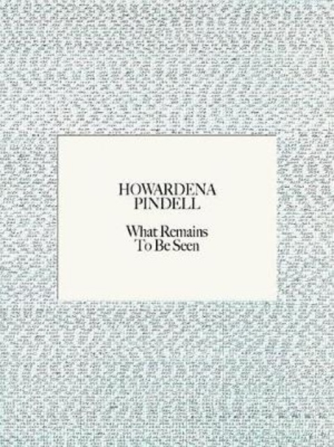 Howardena Pindell : What Remains To Be Seen, Hardback Book
