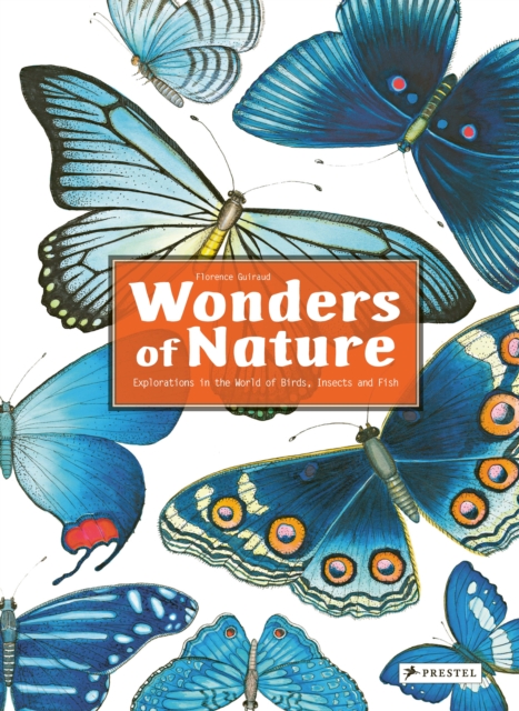 Wonders of Nature : Explorations in the World of Birds, Insects and Fish, Hardback Book