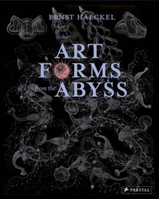 Art Forms from the Abyss : Ernst Haeckel's Images From The HMS Challenger Expedition, Paperback / softback Book