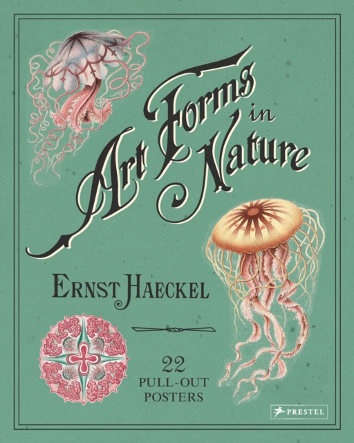 Ernst Haeckel: Art Forms in Nature: 22 Pull-Out Posters, Paperback / softback Book