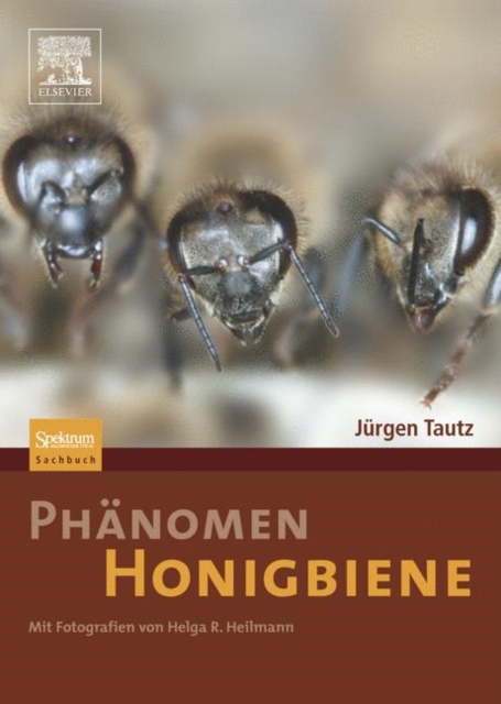 Phanomen Honigbiene, Hardback Book