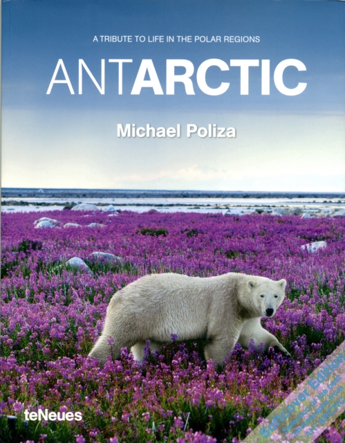 Michael Poliza Antarctic, Paperback / softback Book