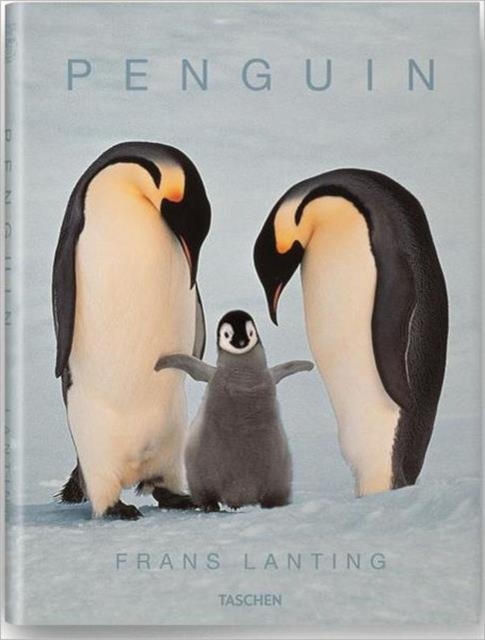 Penguins, Hardback Book