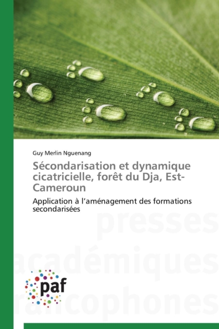 Secondarisation Et Dynamique Cicatricielle, Foret Du Dja, Est-Cameroun, Paperback / softback Book