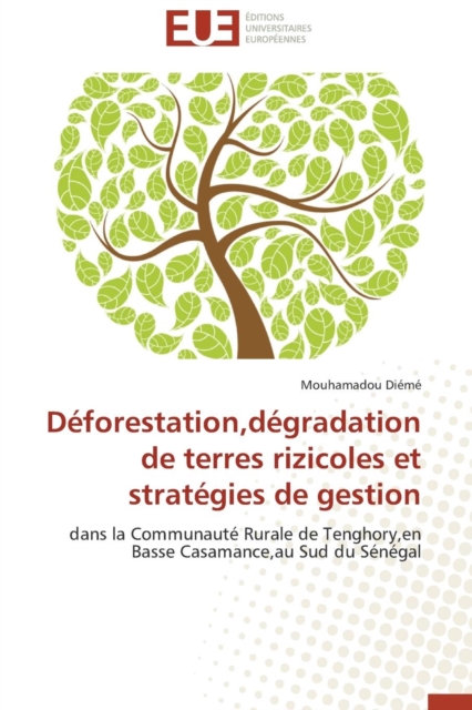 D forestation, D gradation de Terres Rizicoles Et Strat gies de Gestion, Paperback / softback Book
