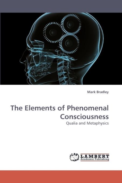 The Elements of Phenomenal Consciousness, Paperback / softback Book