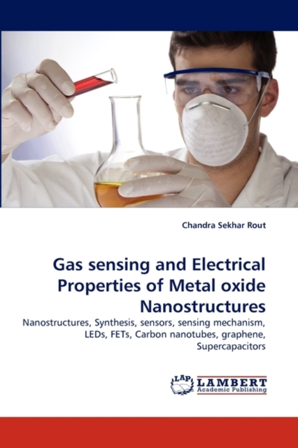 Gas Sensing and Electrical Properties of Metal Oxide Nanostructures, Paperback / softback Book