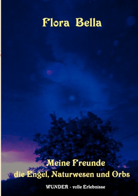 Meine Freunde Die Engel, Naturwesen Und Orbs, Paperback / softback Book