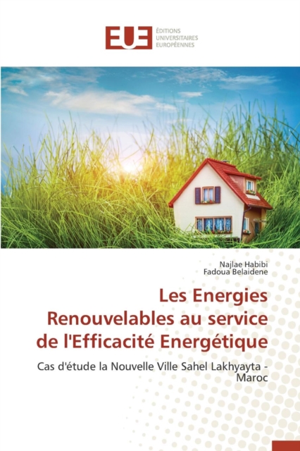 Les Energies Renouvelables Au Service de l'Efficacite Energetique, Paperback / softback Book