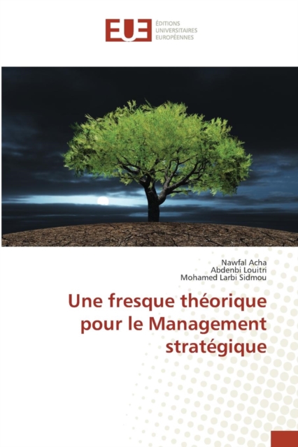 Une Fresque Theorique Pour Le Management Strategique, Paperback / softback Book