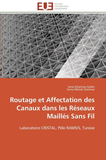 Routage Et Affectation Des Canaux Dans Les R seaux Maill s Sans Fil, Paperback / softback Book