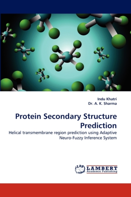 Protein Secondary Structure Prediction, Paperback / softback Book