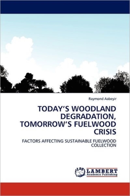 Today's Woodland Degradation, Tomorrow's Fuelwood Crisis, Paperback / softback Book