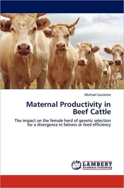 Maternal Productivity in Beef Cattle, Paperback / softback Book