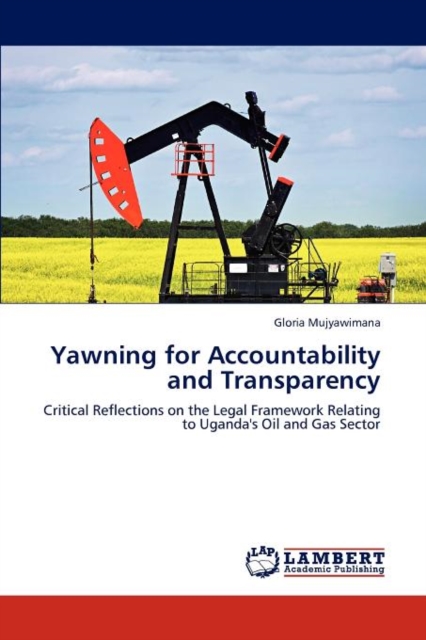 Yawning for Accountability and Transparency, Paperback / softback Book