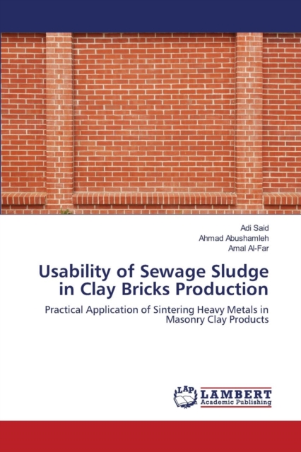 Usability of Sewage Sludge in Clay Bricks Production, Paperback / softback Book